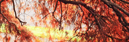 免费cc攻击测试