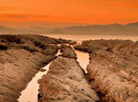 网页攻击器教程