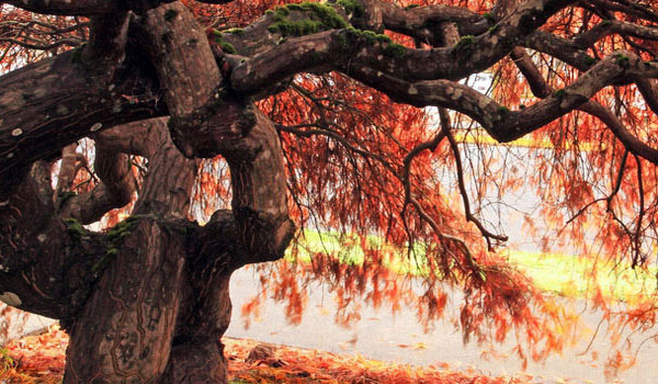 手机攻击器APP下载